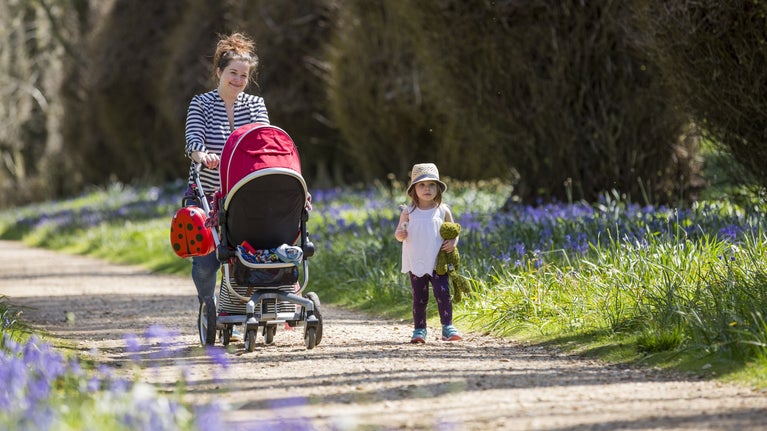 A mother pushing a buggy with a small child alongside walk along a path lined with bluebells